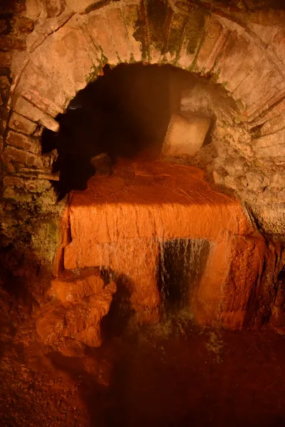 DSC_2642 (Large).JPG